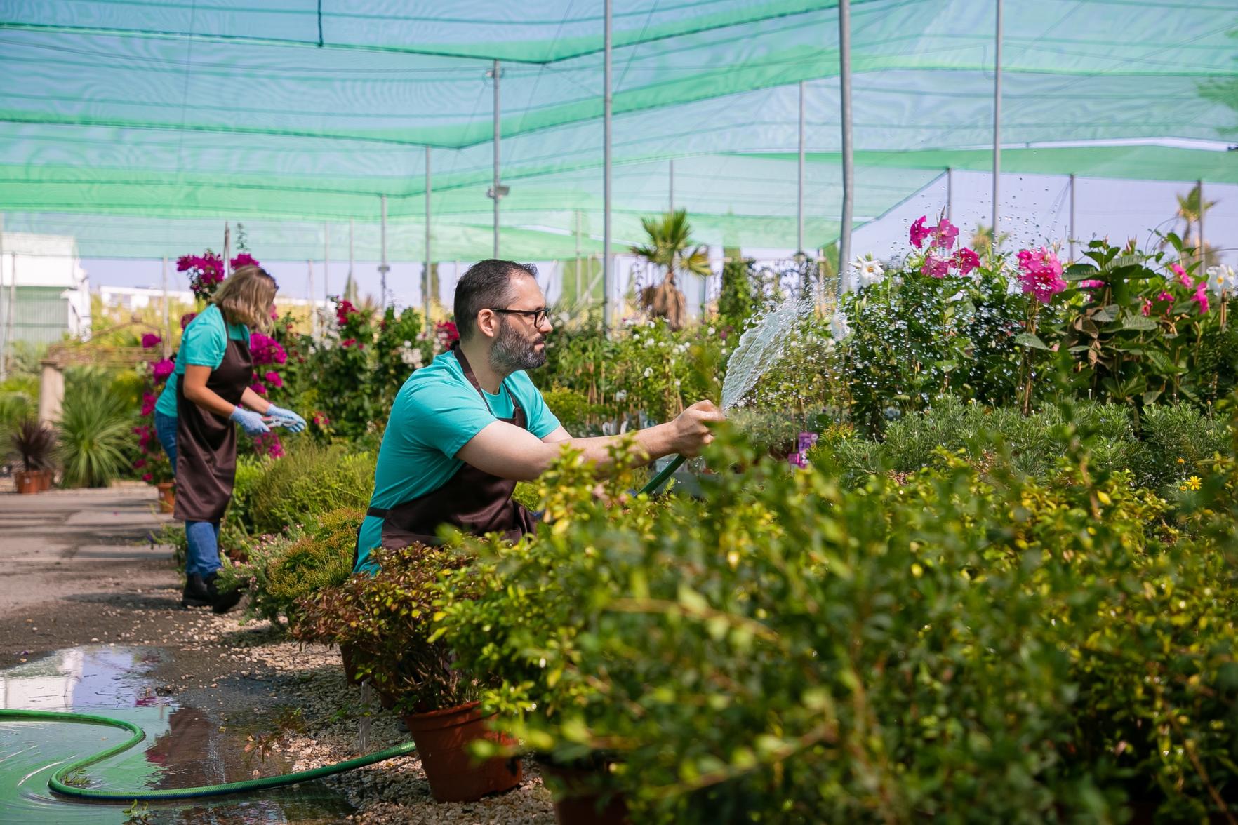 Mallorca Finca Service